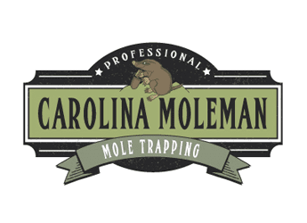 mole animal with banner text retro logo
