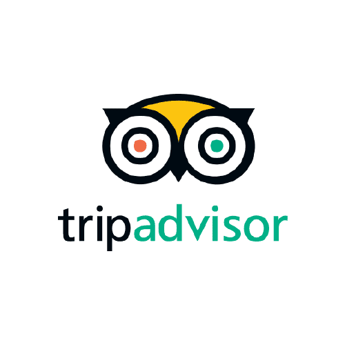 tripadvisor travel logo new version