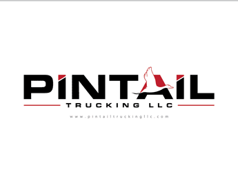 flying goose logo design for trucking company